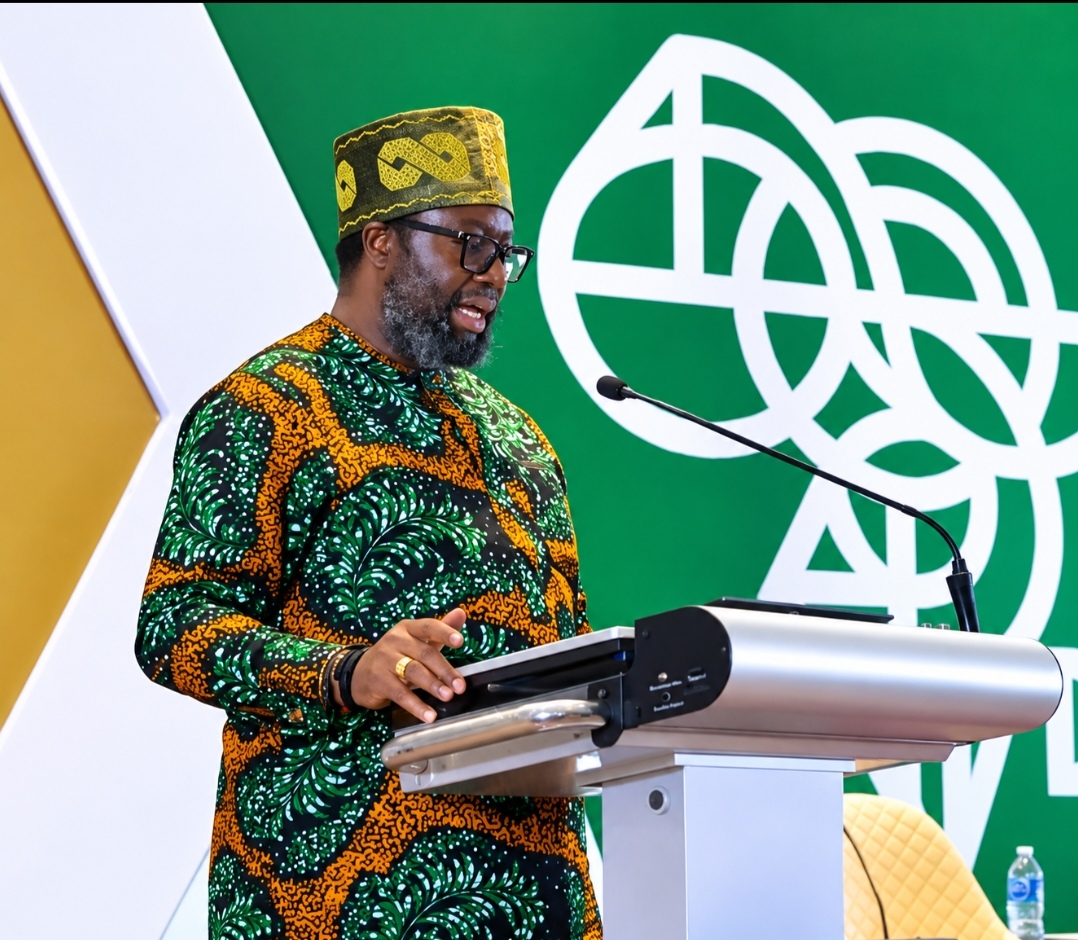 Tinubu’s re-election key to rapid industrial growth, RMRDC DG declares.